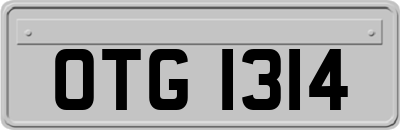OTG1314