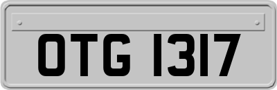OTG1317