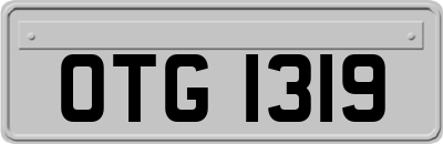 OTG1319