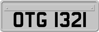 OTG1321