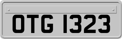 OTG1323