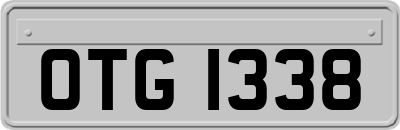 OTG1338