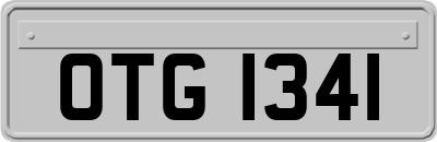 OTG1341