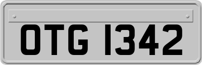 OTG1342