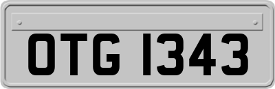 OTG1343