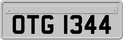 OTG1344