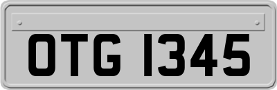 OTG1345