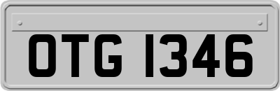 OTG1346