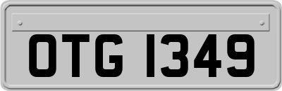 OTG1349