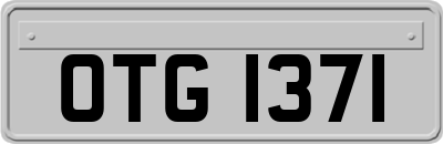 OTG1371