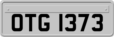 OTG1373