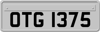 OTG1375