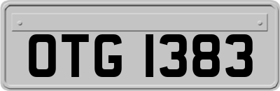 OTG1383