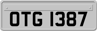 OTG1387