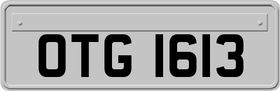 OTG1613