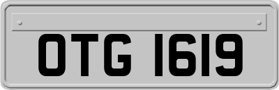 OTG1619