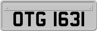 OTG1631