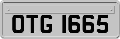 OTG1665