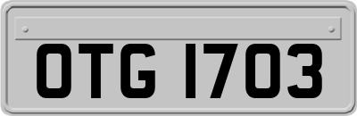 OTG1703