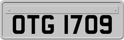 OTG1709