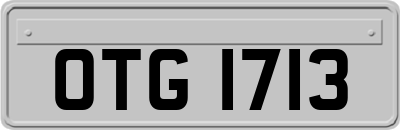 OTG1713