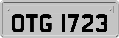 OTG1723