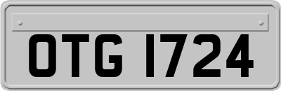 OTG1724