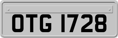 OTG1728