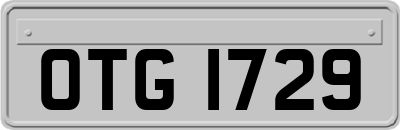 OTG1729