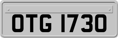 OTG1730