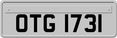 OTG1731