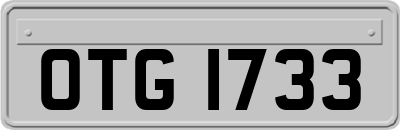 OTG1733