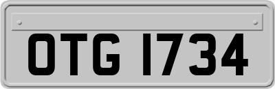 OTG1734