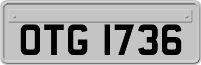 OTG1736