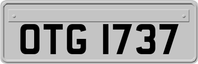 OTG1737