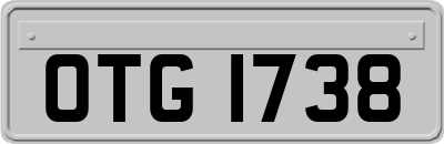 OTG1738