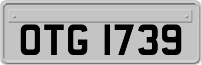 OTG1739