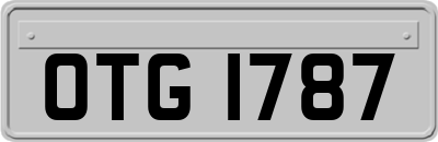 OTG1787