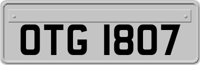 OTG1807