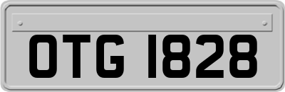 OTG1828