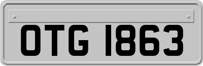 OTG1863