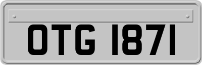 OTG1871