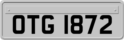 OTG1872