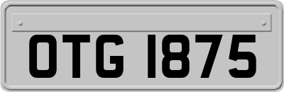 OTG1875