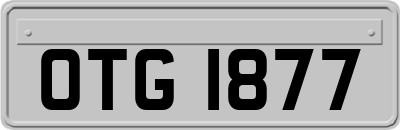 OTG1877