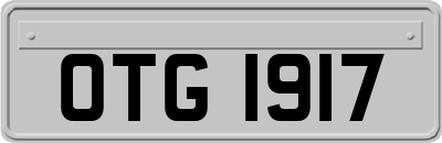 OTG1917