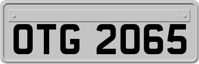 OTG2065