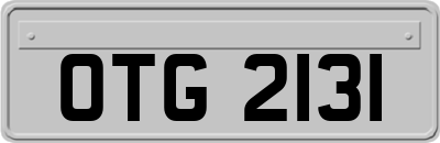 OTG2131
