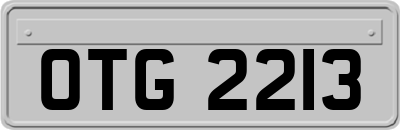 OTG2213
