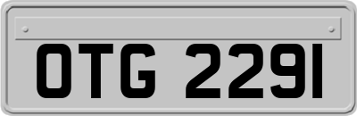 OTG2291
